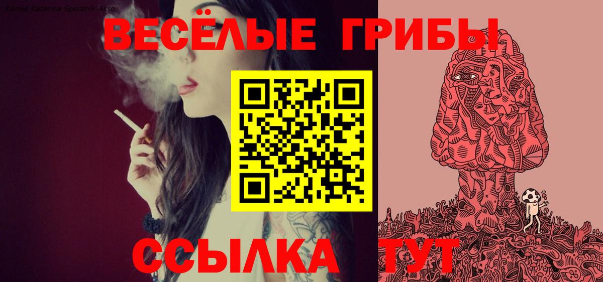 как найти закладки  Псилоцибиновые грибы Magic Shrooms  Вход с VPN  Псилоцибиновые грибы Psilocybe  Красный Сулин 
